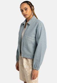 Striped denim jacket with a collared neck, zip closure, and elastic cuffs; features two front pockets and a relaxed fit.