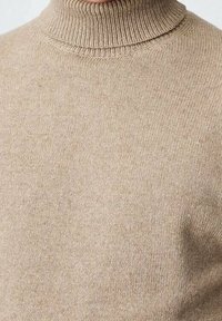 Pull à col roulé beige en tissu tricoté. Il présente un col côtelé et une texture lisse, offrant une coupe ajustée et un design minimaliste.