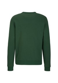 Grüner Sweatshirt mit langen Ärmeln, rundem Hals und gerippten Bündchen. Glatter, strukturierter Stoff; minimalistisches Design ohne sichtbare Logos oder Akzente.