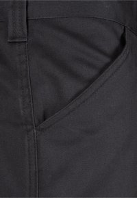 Dickies WORKWEAR EVERYDAY  - Shorts - black