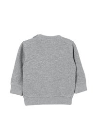Felpa grigia a maniche lunghe con colletto a girocollo, a maniche ribbed e fondo ribbed, vista dal retro su uno sfondo bianco.