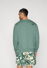 Hanorac verde cu manșete și tiv cu nervuri, având un logo negru pe spate. Asortat cu pantaloni scurți cu un model în nuanțe de crem și verde-albastru.