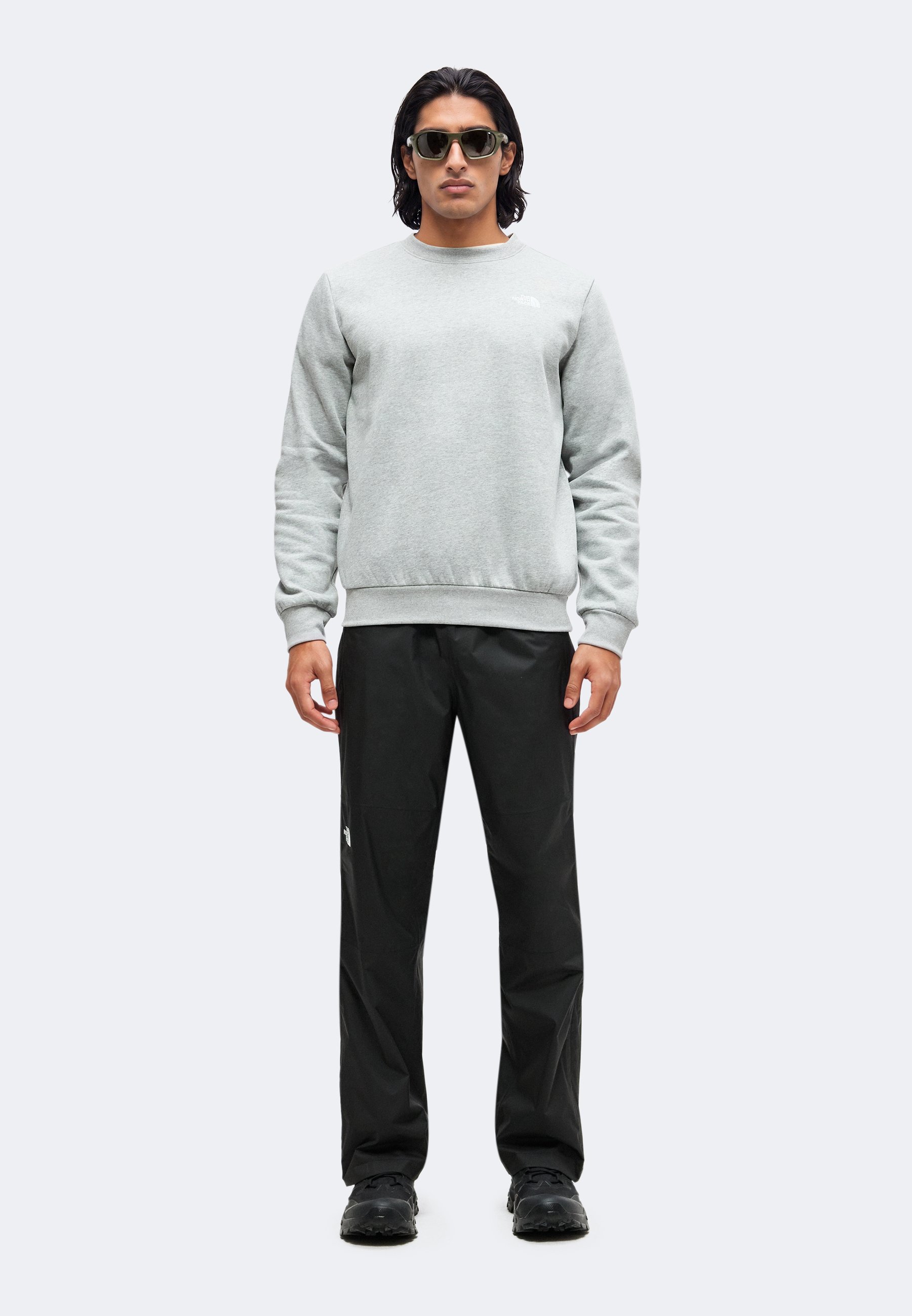 The North Face EVOLUTION SIMPLE DOME REGULAR CREW - Sweater - pale