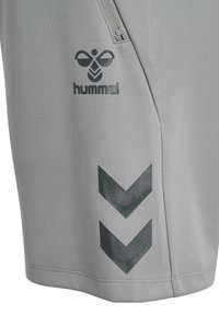 Grijze sportieve shorts met een gladde textuur, voorzien van een logo aan de linkerkant en zwarte chevron-accenten op de onderzoom.