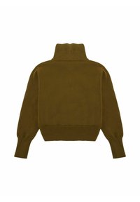 Olivgrüner Rollkragenpullover, verkürztes Design, gerippte Bündchen und Saum, glatte Textur, lange Ärmel, Rückansicht sichtbar.