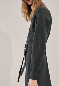 Langsleeve, donkergroene jurk met een aansluitende taille en een riemaccent; heeft een soepele textuur en een zachte silhouette.