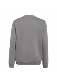 Sudadera gris con cuello redondo, mangas largas, puños y dobladillo acanalados, con una textura suave y un diseño minimalista. Se muestra la vista trasera.