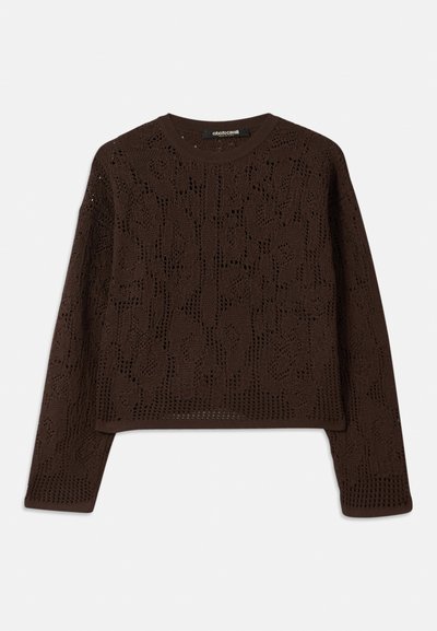 Brązowy, dziany sweter z teksturowanym, otwartym wzorem, okrągłym dekoltem i długimi rękawami. Krótki krój i luźny fason.