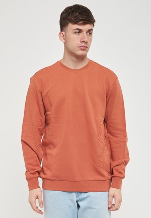 Felpa di colore terracotta, con colletto a girocollo e maniche lunghe. Texture morbida con dettagli in rilievo sulla parte anteriore e polsini a costine.