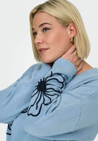 Maglione azzurro chiaro a maglia con vestibilità comoda, caratterizzato da un dettaglio di ricamo floreale nero sulla manica e polsini a coste.