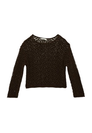 Dunkelbraunes gehäkeltes Langarm-Cropped-Top mit rundem Ausschnitt und aufwändigem offenem Spitzenmuster.