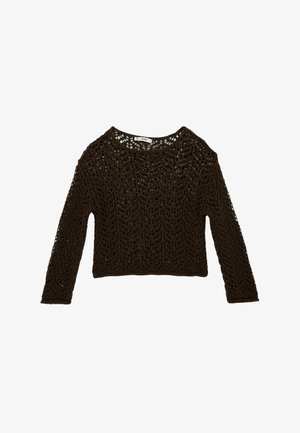 Dunkelbraunes gehäkeltes Langarm-Cropped-Top mit rundem Ausschnitt und aufwändigem offenem Spitzenmuster.