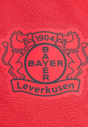Punainen kangas, jossa on teksturoidun mallin päällä pyöreä musta Bayer Leverkusenin logo, jota reunustavat kaksi leijonaa, ja näkyvästi esillä vuosi 1904.