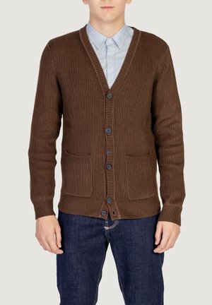 Cardigan marrone a coste realizzato in maglia, con scollatura a V, sei bottoni e due tasche frontali. Indossato sopra una camicia blu chiaro.