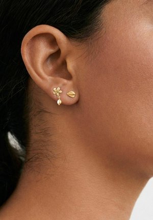 Højre øre med to guldringe: lille blomst med hængende perle og en gylden muslingeskal ørestik på brun hud.