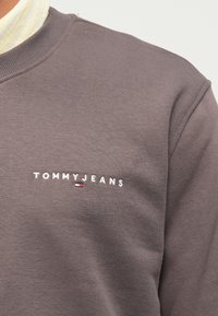 Primo piano di una felpa marrone con la scritta "TOMMY JEANS" e un piccolo logo a bandiera rosso, bianco e blu ricamato sul petto.
