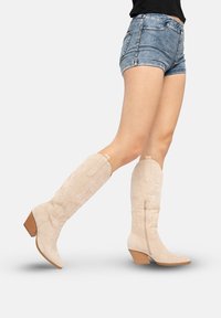 Westernstyle kniehohe Stiefel aus beigem Wildleder, mit bestickten Details, einem seitlichen Reißverschluss und einem gestapelten Absatz mit spitz zulaufender Schuhspitze.