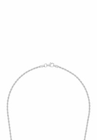 Collana a catena argentata intrecciata con chiusura a moschettone, che presenta un design delicato e intrecciato con una finitura metallica liscia.
