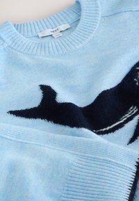 Hellblauer Strickpullover mit dunkelblauem Grafikdesign. Gerippter Halsausschnitt und Saum mit weicher Textur, minimalistische visuelle Details.