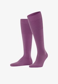 Unausgewählt, orchid