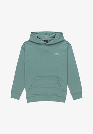 Felpa con cappuccio in verde spento, realizzata in morbido cotone, con tasca frontale e piccolo logo stampato in verde chiaro sul petto.