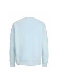 Hellblauer Pullover aus weichem Stoff mit Rundhalsausschnitt, langen Ärmeln sowie gerippten Bündchen an Ärmeln und Saum. Rückansicht ohne Grafik.