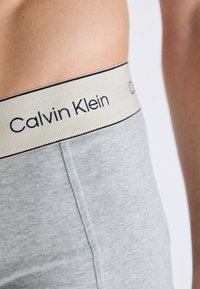 Taille en heup van een persoon die een lichtgrijze Calvin Klein onderbroek draagt, met de zichtbare merknaam op de witte elastische tailleband.