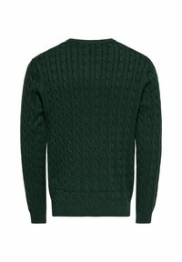 Pull en maille torsadée vert foncé avec manches longues et col rond, présenté de dos sur fond blanc.