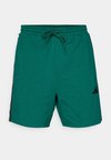 Kurze Sporthose - collegiate green/black