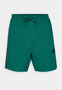 Short de sport - collegiate green/black