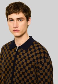 Bărbat tânăr cu păr scurt și castaniu, purtând un pulover cu fermoar în carouri bleumarin și maro, cu guler, pe un fundal simplu gri deschis.