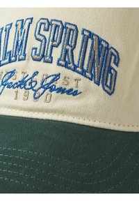 Vihreä ja kerma-valkoinen puuvillainen baseball-mokkapää, jossa on brodeerattu "Palm Spring" sinisellä ja hopealla tekstillä. Päässä on rakenne ja kaareva lippa.