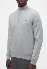 Homme portant un pull gris clair à fermeture éclair sur le quart, avec des poignets et un col côtelés, comportant un petit logo crocodile vert sur la poitrine.