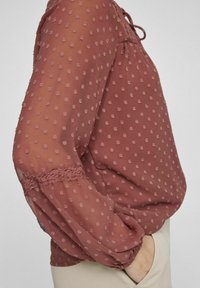 Rustfärgad blus i genomskinligt tyg med texturerade prickar. Har spetsdetaljer på ärmarna och en knytning vid halsen.