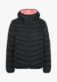 Unselected, black beauty