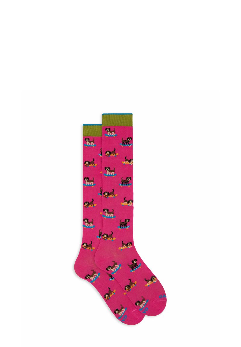 Calze fino al ginocchio di un vivace colore rosa con motivi di cani multicolori. Presentano un bordo verde e un materiale morbido ed elastico per il massimo comfort.
