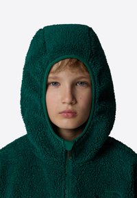 The North Face CAMPSHIRE - Forro polar - evergreen