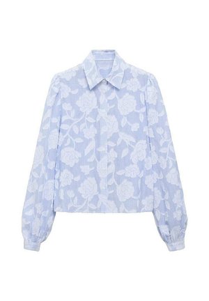 Blusa azzurro chiaro con motivo floreale. Presenta un colletto a punta, maniche lunghe e un design accorciato. Strisce verticali visibili nella trama del tessuto.