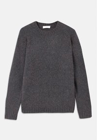 ADRYAN - Jumper - blue function