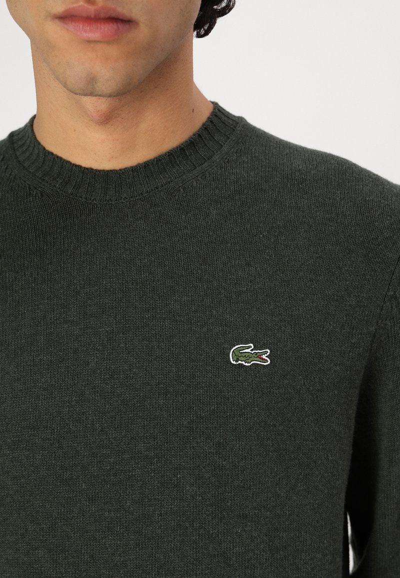 Dunkelgrüner Strickpullover mit geripptem Kragen, ausgestattet mit einem kleinen Krokodil-Logo auf der Brust in grün und weiß. Weicher Stoff.