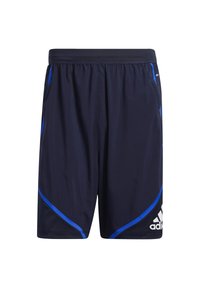 Shorts de sport navy en tissu léger. Présente des accents bleus sur les côtés et deux poches latérales. Ceinture élastique pour le confort.