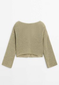 Massimo Dutti Strickjacke - light green