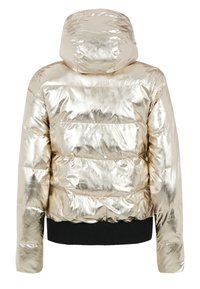 Protest PRTCORTINA 24 - Veste d'hiver - metal