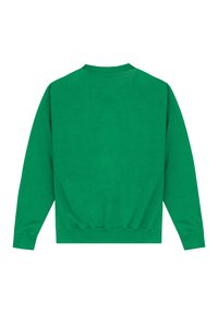 Felpa verde con maniche lunghe, collo rotondo e polsini e orlo elasticizzati. Il tessuto appare morbido e ha una consistenza uniforme. Vista posteriore.