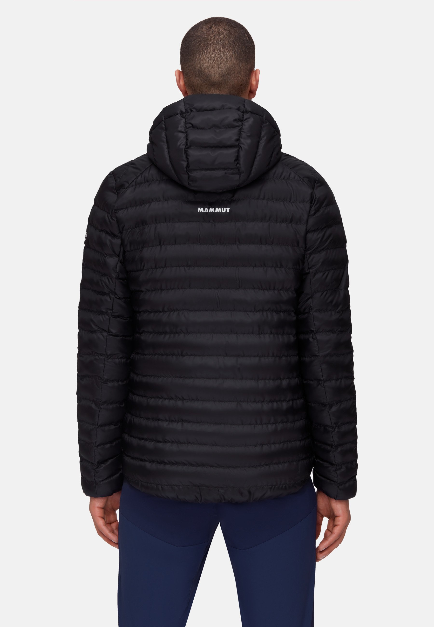 Mammut ALBULA HOODED - Winter jacket - black - Zalando