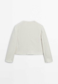 Massimo Dutti Bleiseri - beige
