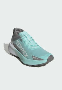 Buty sportowe z lekką siateczkową cholewką w jasnym morskim kolorze, szarymi akcentami i teksturowaną podeszwą. Z logo marki "TERREX" i "GORE-TEX". Lekka konstrukcja.