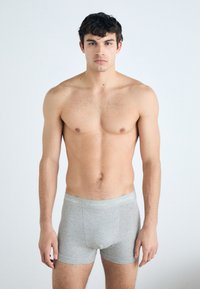 Gray cotton boxer briefs with a soft waistband featuring a subtle "Calvin Klein" logo, paired with a bare-chested male model.