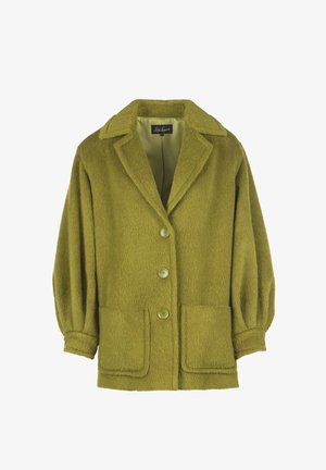 Manteau vert texturé avec un col cranté, trois boutons et deux poches avant. Il présente des manches bouffantes et un matériau doux et pelucheux.