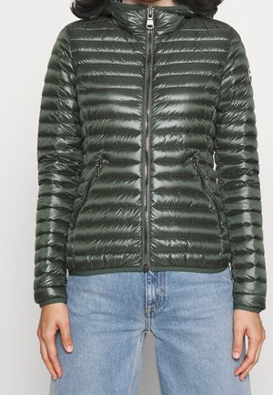 Dunjacka - dark green